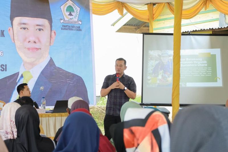 Sosialisasi Pertanian Organik di Nagori Serapuh - Foto 3